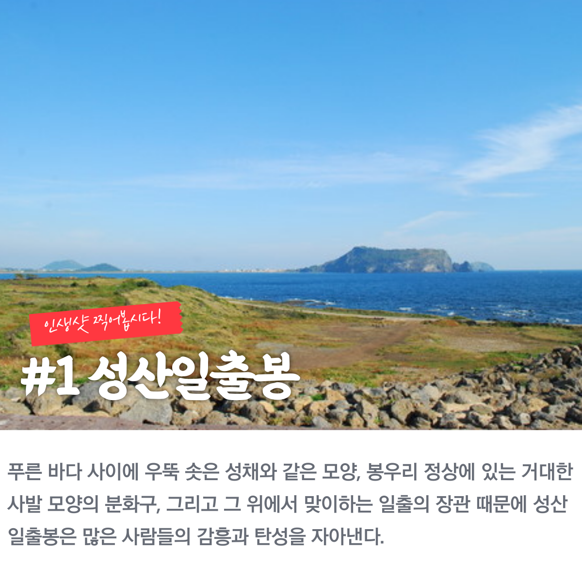 비자림 숲