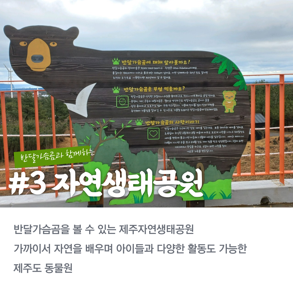 비자림 숲
