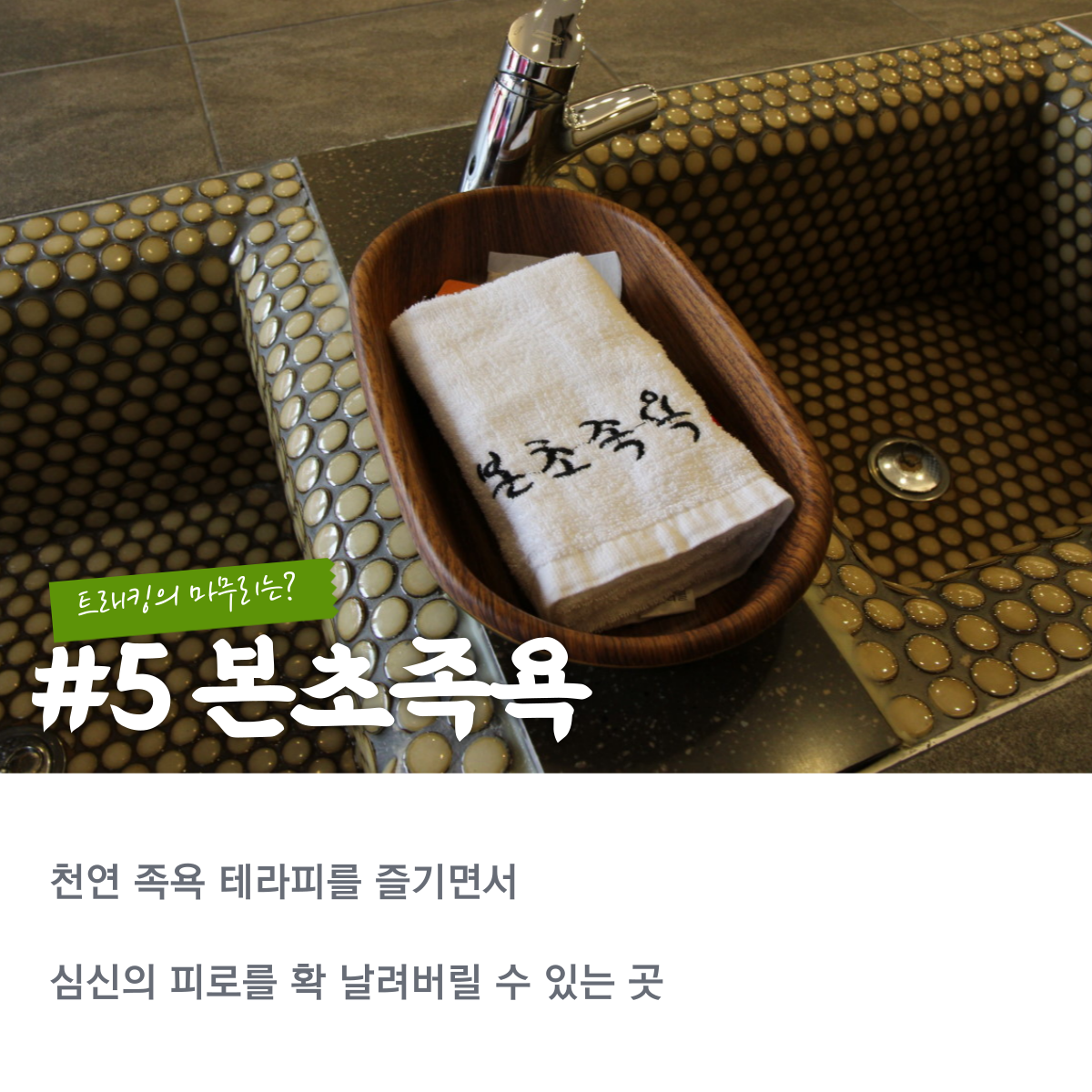 비자림 숲