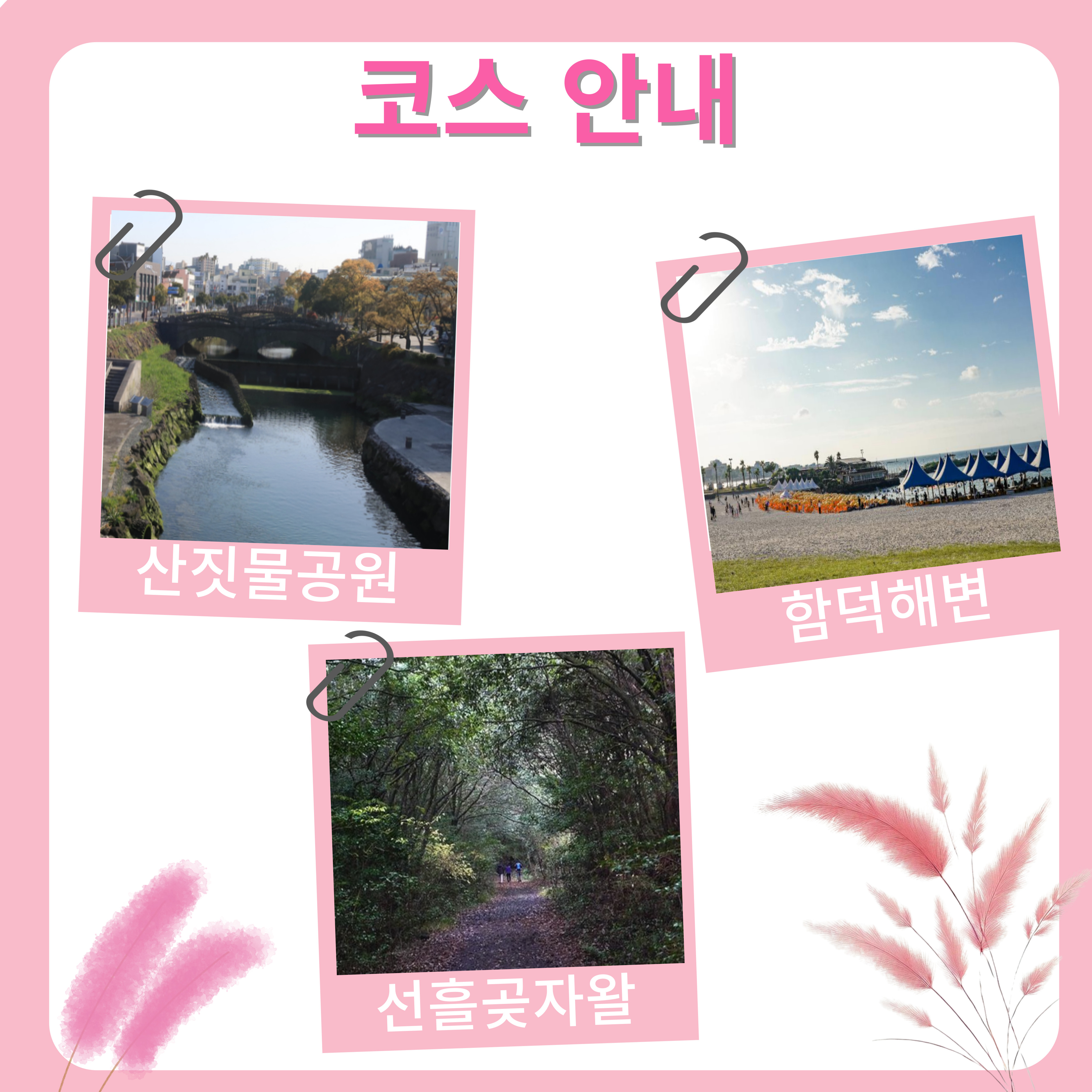 가을 꽃 놀이