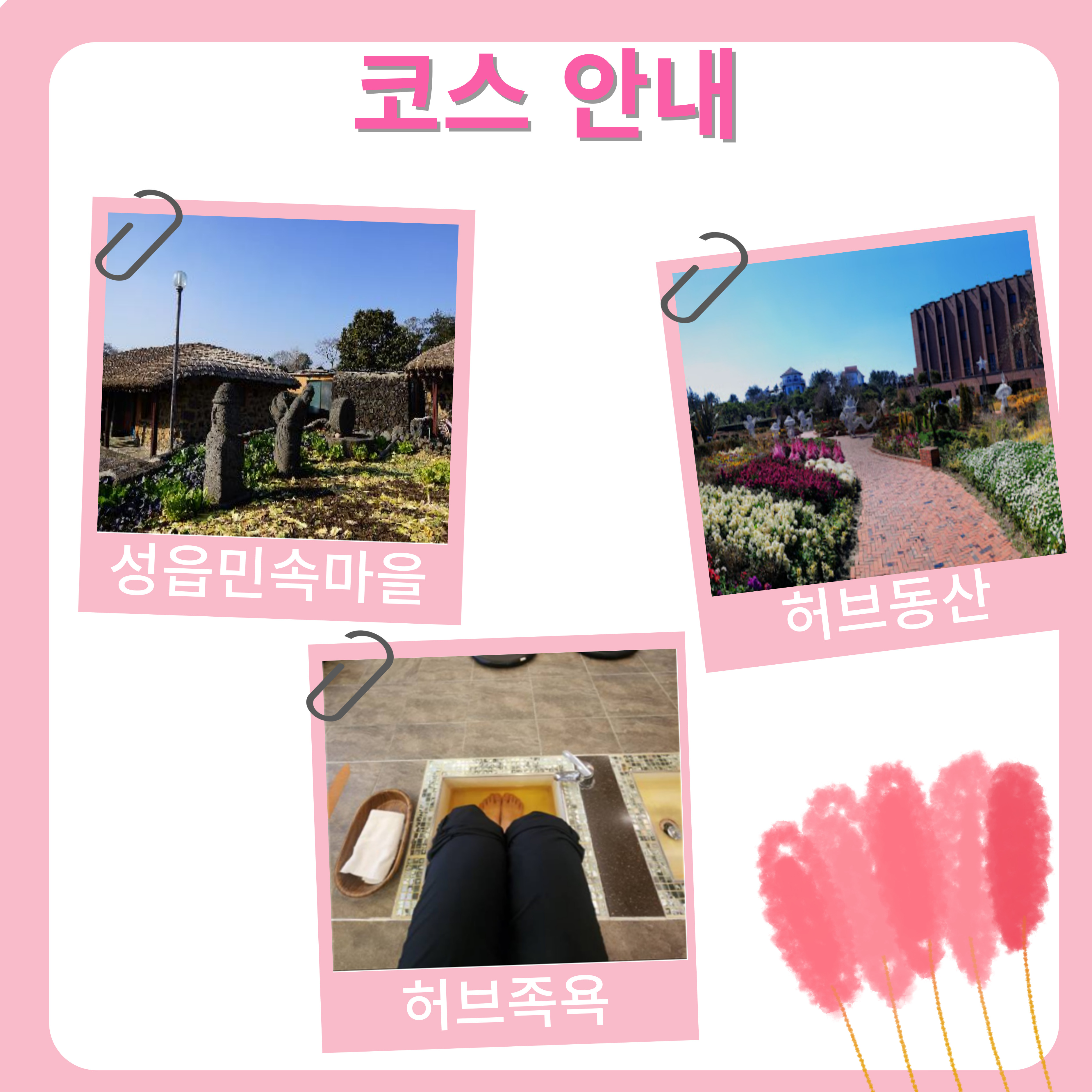 가을 꽃 놀이