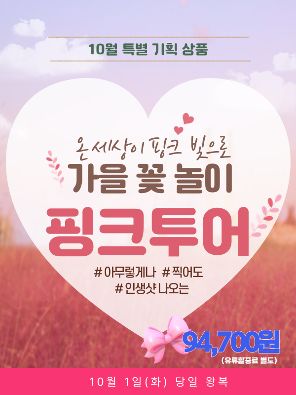 가을 꽃 놀이