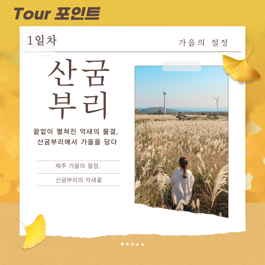 가을추천