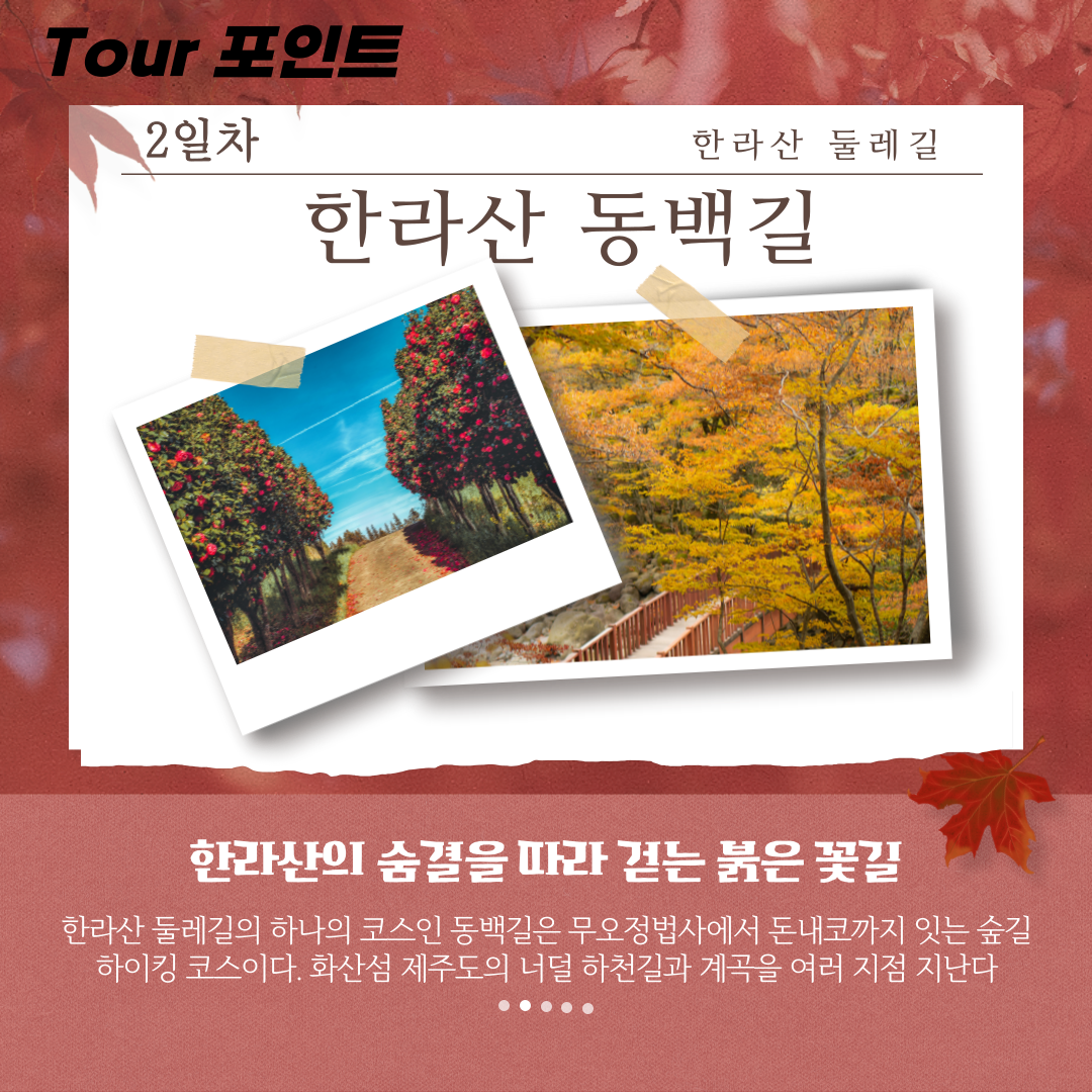 가을추천