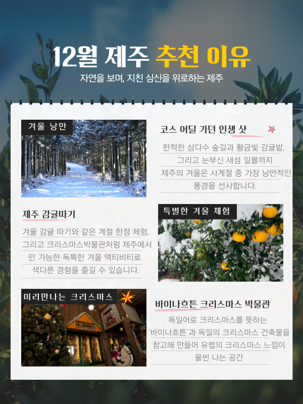 겨울 담은 제주