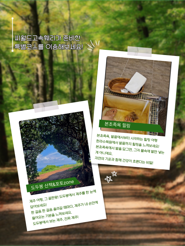 사려니숲길